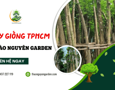 Địa chỉ mua cây giống TPHCM uy tín, giá tốt – Thảo Nguyên Garden