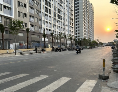 Tại sao nên chọn đơn vị cung cấp cây cảnh của CÔNG TY TNHH CẢNH QUAN THẢO NGUYÊN GARDEN?
