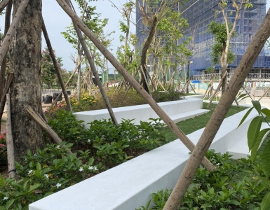 Đơn vị dịch vụ chăm sóc cây xanh chuyên nghiệp hàng đầu TpHCM