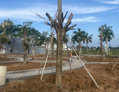DỰ ÁN CÔNG TY QUẢN LÝ TÀI SẢN TAMCARI