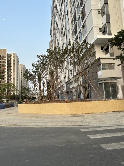 DỰ ÁN TẬP ĐOÀN PICITY