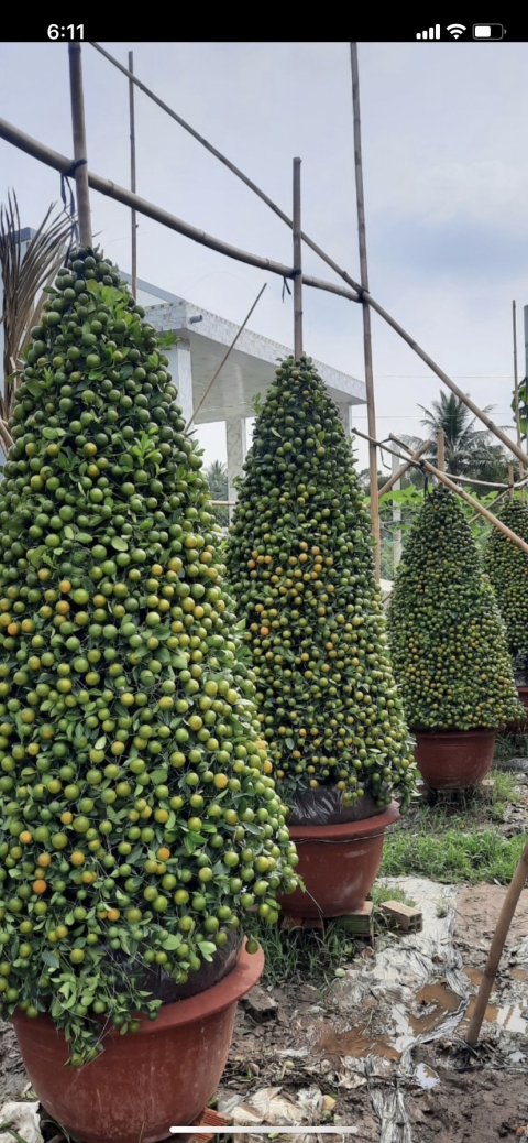 DỰ ÁN VSIP1