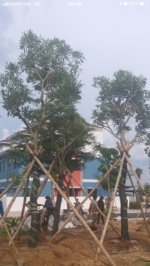 DỰ ÁN VSIP 2