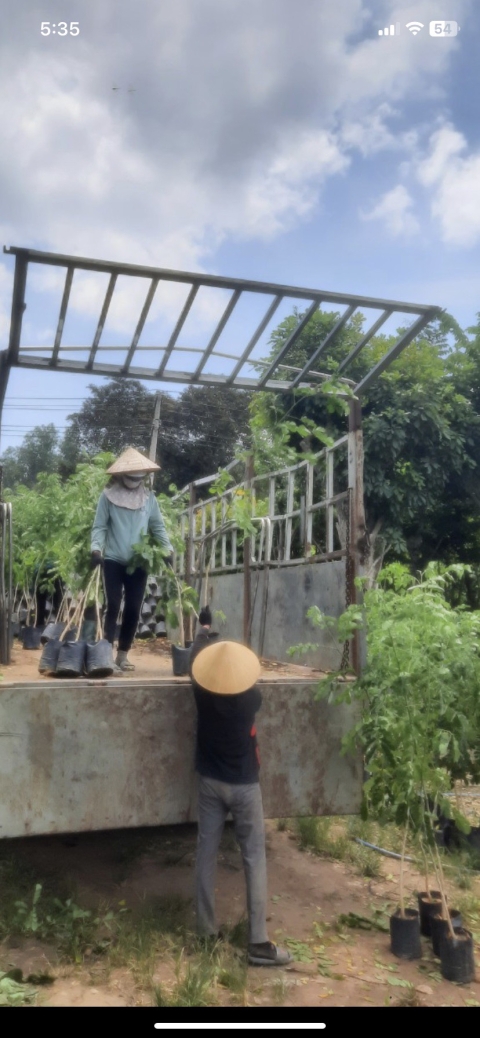 DỰ ÁN VSIP 2
