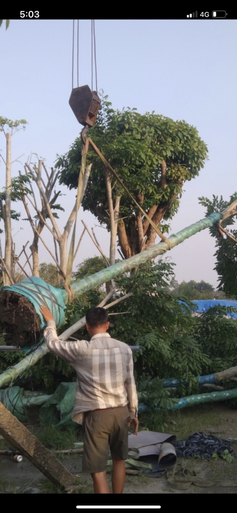 DỰ ÁN VSIP 2