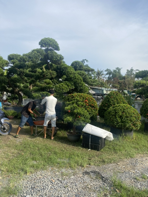 DỰ ÁN KHU CÔNG NGHIỆP SÓNG THẦN 3