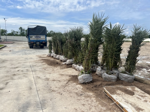DỰ ÁN KHU CÔNG NGHIỆP MINH HƯNG