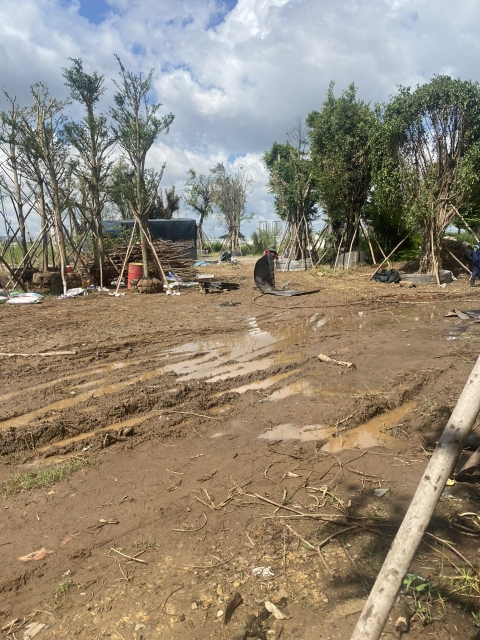 DỰ ÁN CÔNG TY QUẢN LÝ TÀI SẢN TAMCARI