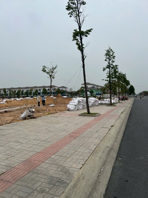 Dự Án Cây Xanh VSip