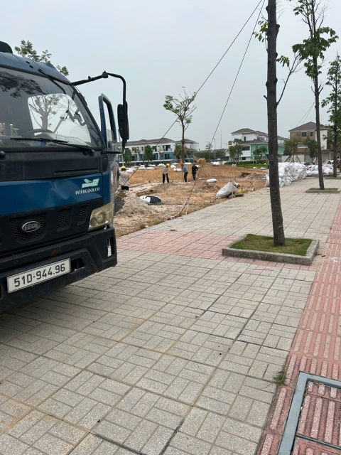 Dự Án Cây Xanh VSip