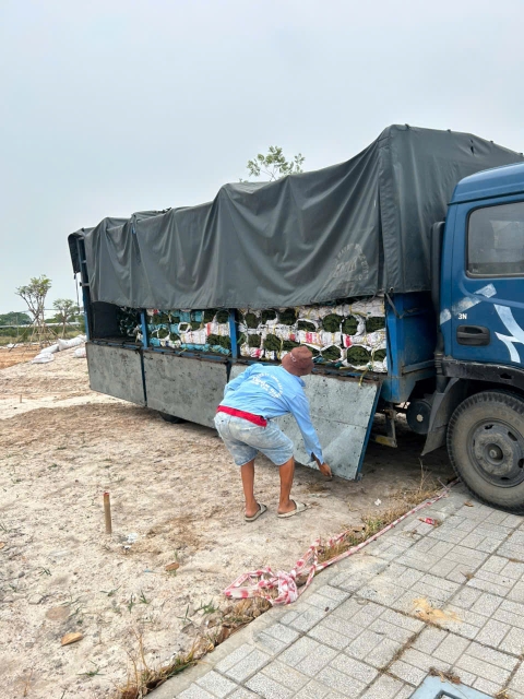 Dự Án Cây Xanh VSip